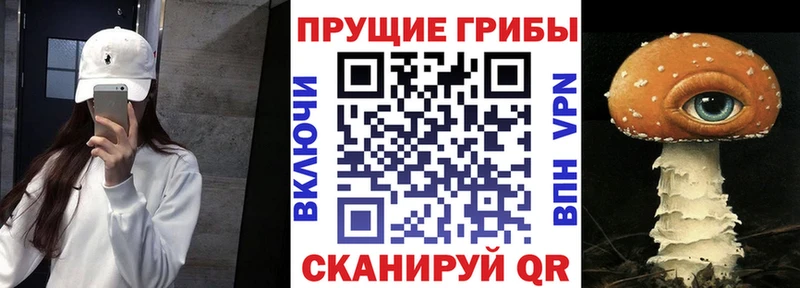 Галлюциногенные грибы ЛСД  KRAKEN tor  Нахабино  купить  